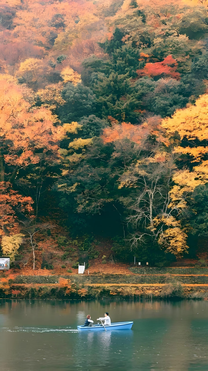 综艺4